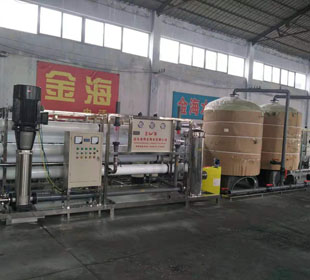 酒水行业用纯（chún）净水设备